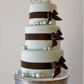 Winter Blue & Brown Velvet