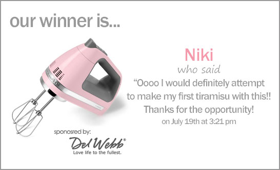 KitchenAid Mixer Giveaway Winner