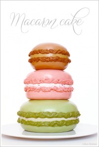 Macaron Cake Tutorial by Miso Bakes | TheCakeBlog.com