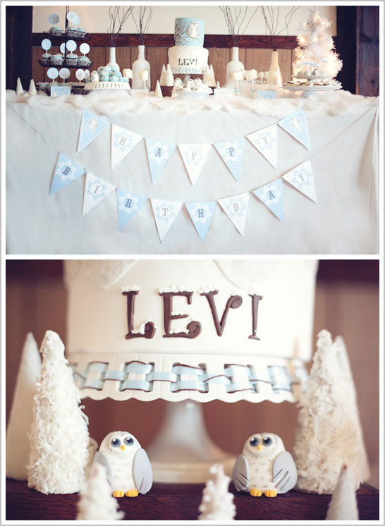 Snow Owl First Birthday Party