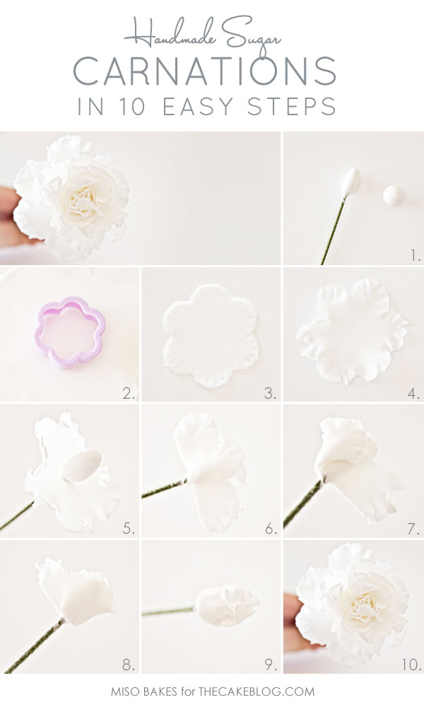 Learn to make Sugar Carnations | Tutorial by Miso Bakes