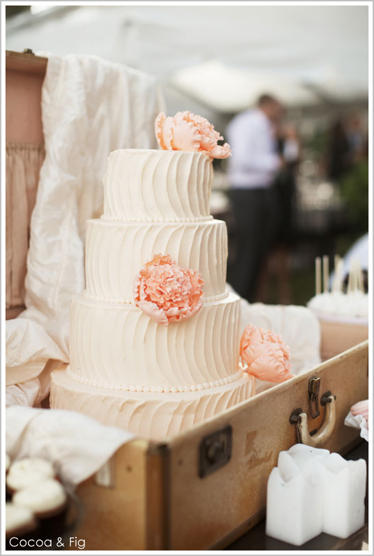 Rustic Chic Pale Pink & Peach Wedding Cake