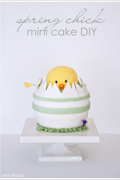 DIY:  Spring Chick Cake