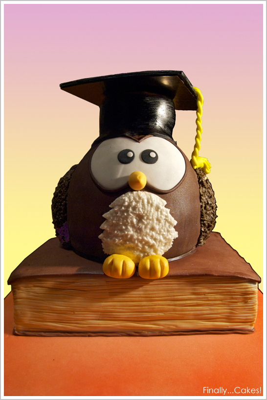 Owl Cake for Graduation