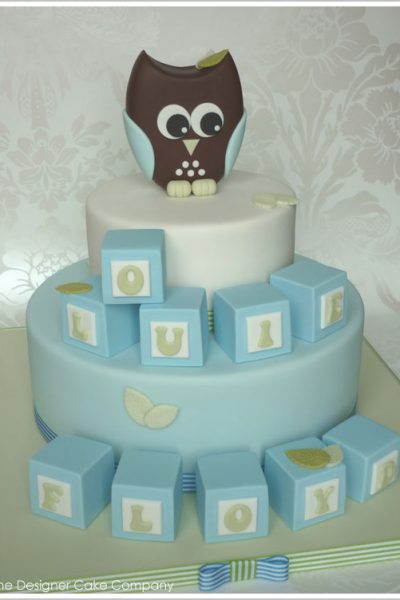 Owl & Blocks Baby Shower Cake