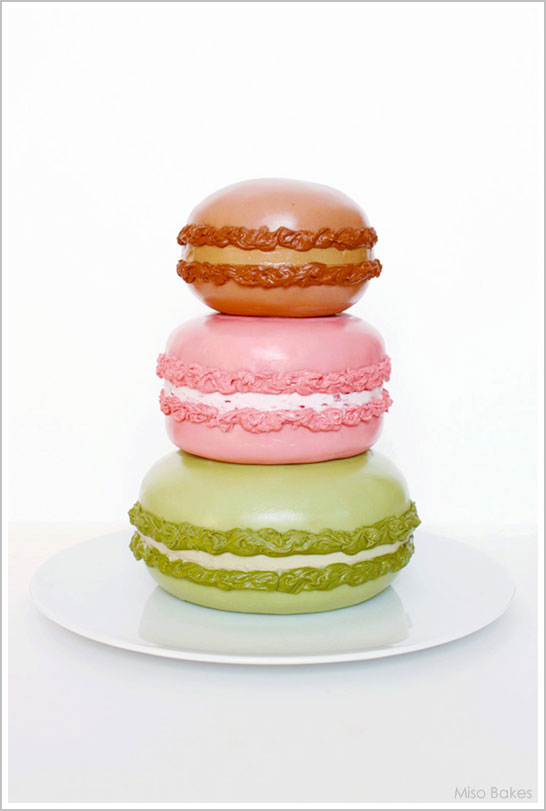 Macaron Cake Tutorial by Miso Bakes |  TheCakeBlog.com