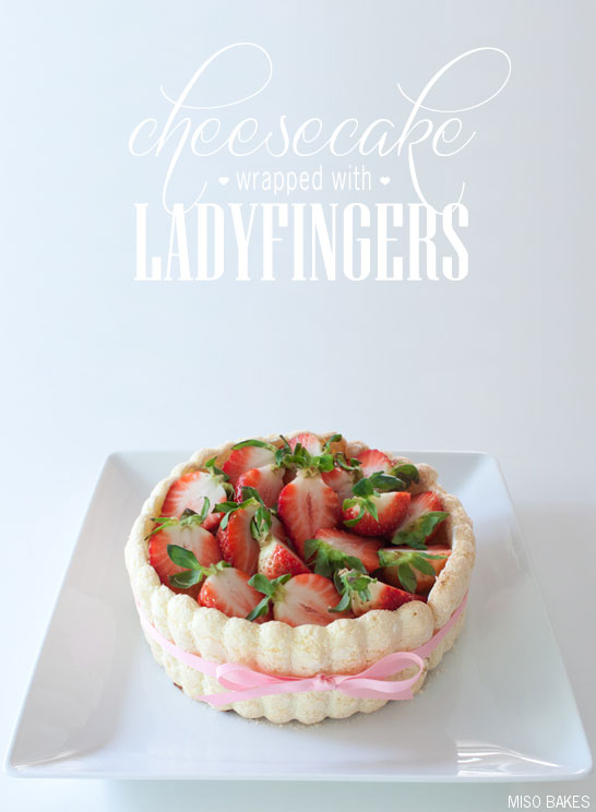 Cheesecake wrapped with Ladyfingers by Miso Bakes | TheCakeBlog.com