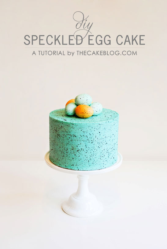Top DIY's of 2013 | Speckled Egg Cake Tutorial | by Carrie Sellman