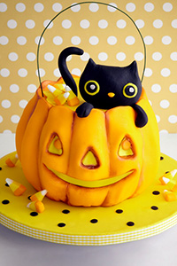 Kitty Cat in a Pumpkin Cake