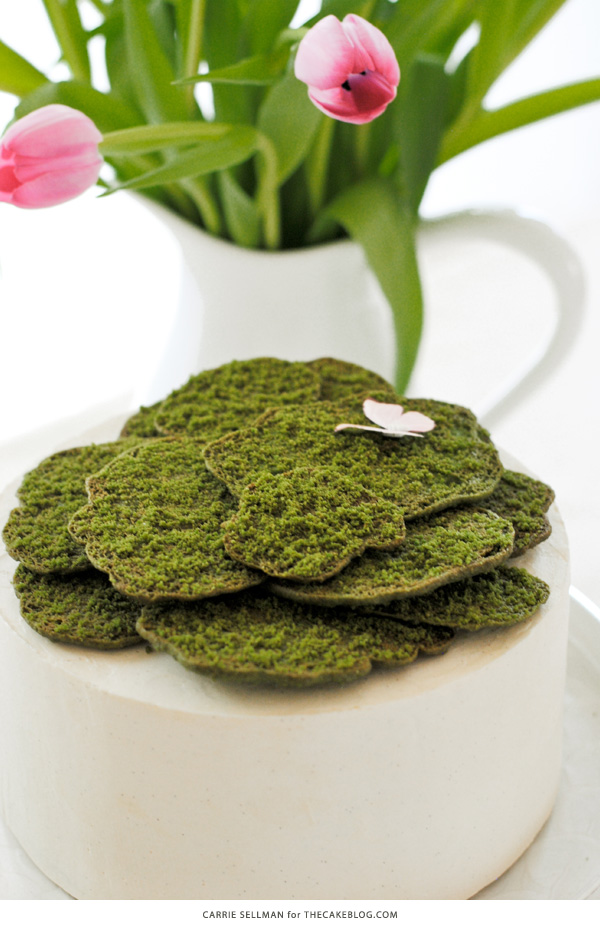 Cookie Moss Cake | how to make edible moss from sugar cookie dough | by Carrie Sellman for TheCakeBlog.com