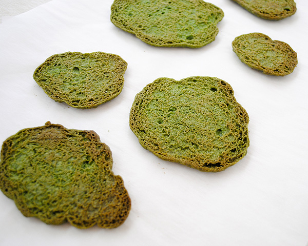 Cookie Moss Cake | how to make edible moss from sugar cookie dough | by Carrie Sellman for TheCakeBlog.com