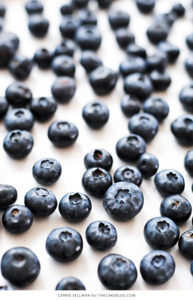 Blueberry Yogurt Parfaits | The Cake Blog