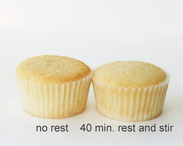 Do your cupcakes need a rest?  How resting time affects cupcake batter.  | by Summer Stone for TheCakeBlog.com