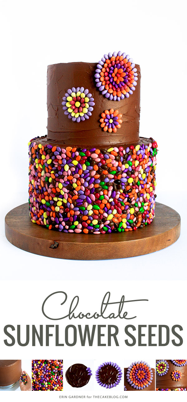 Chocolate Sunflower Seed Cake | by Erin Gardner for TheCakeBlog.com