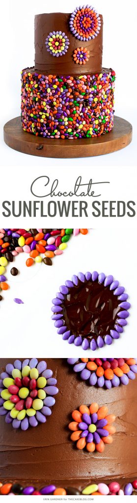 chocolate-sunflower-seed-cake-the-cake-blog