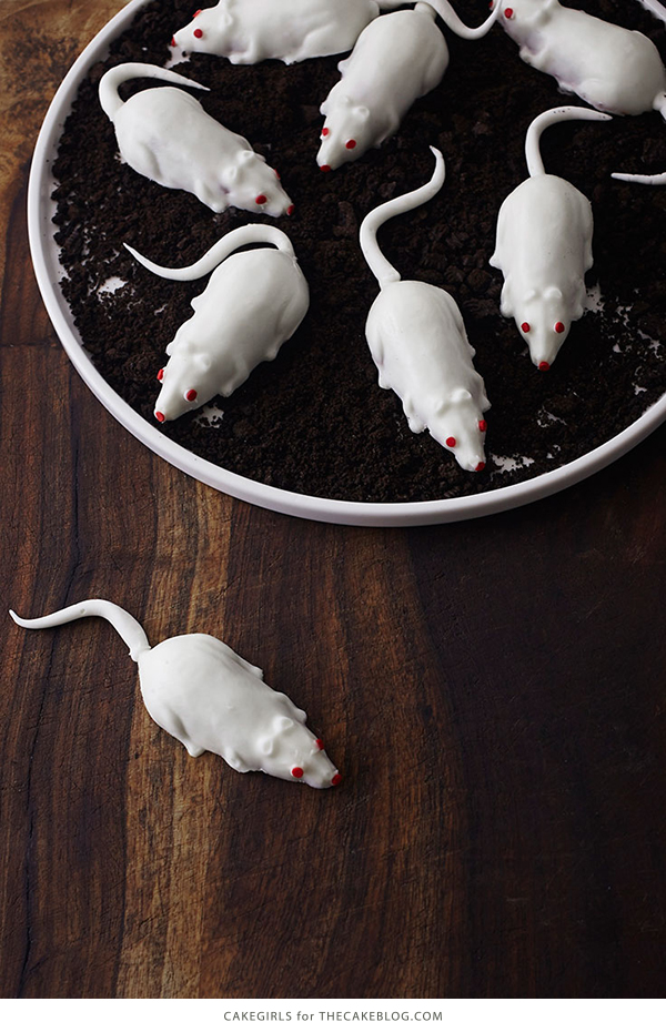 Creepy Mice Cakes! Learn how to make these spooky, red velvet filled, mice cakes -- a Halloween food sure to freak out your party guests | Cakegirls for TheCakeBlog.com