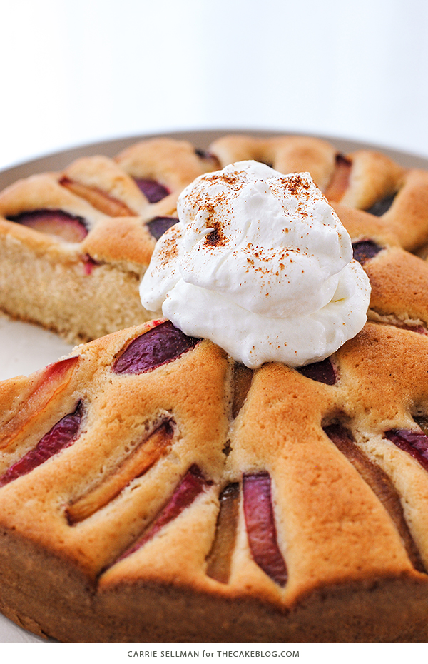 Spiced Plum Cake with Whipped Yogurt - an elegant yet easy cake recipe for holiday entertaining. | Carrie Sellman for TheCakeBlog.com