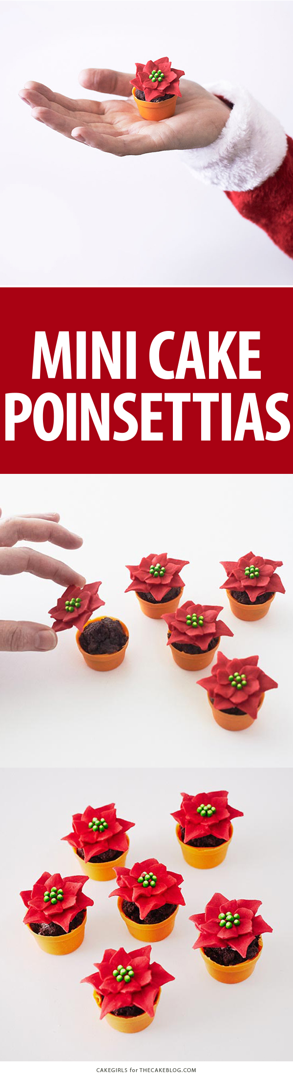 Mini Poinsettia Cakes - festive holiday desserts you can make for Christmas | Cakegirls for TheCakeBlog.com
