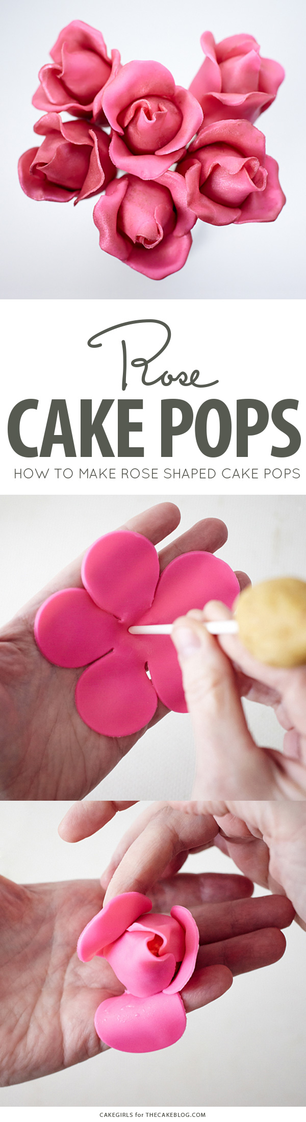 DIY Rose Cake Pops, an adorable dessert for Valentine's Day, Mother's Day and bridal showers | by Cakegirls for TheCakeBlog.com