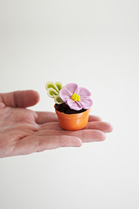 Teeny Tiny Flower Pot Cakes