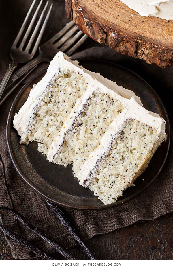 Poppy Seed Cake - poppy seed studded cake with vanilla bean frosting and poppy seed filling | by Olivia Bogacki for TheCakeBlog.com