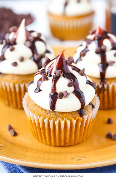 Pumpkin Chocolate Chip Cupcakes | The Cake Blog