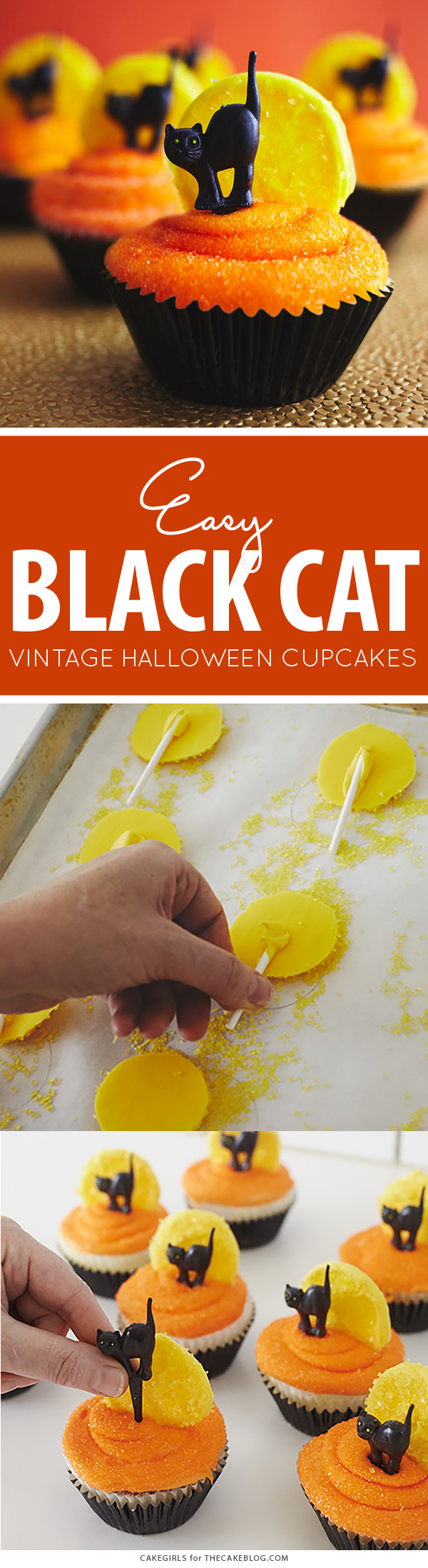 Black Cat Halloween Cupcakes | by Cakegirls for TheCakeBlog.com