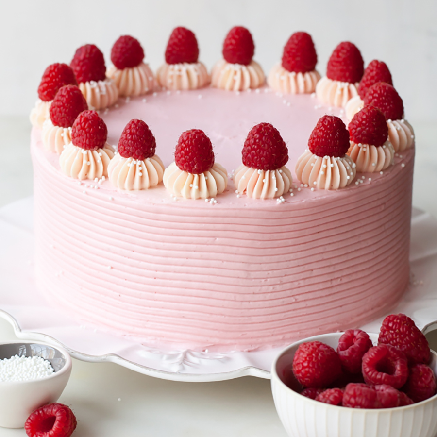 Chocolate Raspberry Cake The Cake Blog