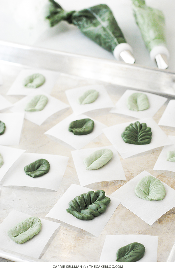 How to pipe buttercream greenery and leaves, with video | by Carrie Sellman for TheCakeBlog.com