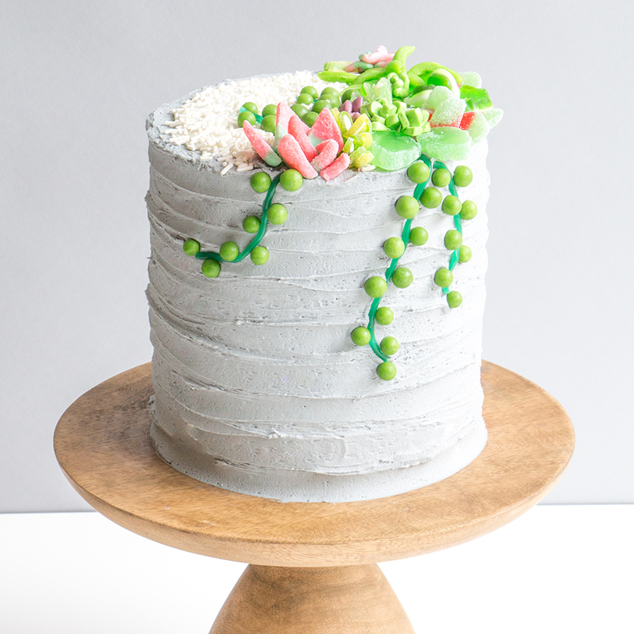 Succulent buttercream cake - Decorated Cake by Hong Guan - CakesDecor