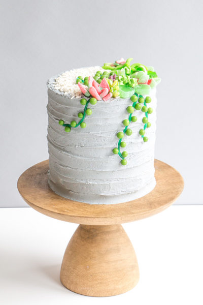 Candy Succulent Cake